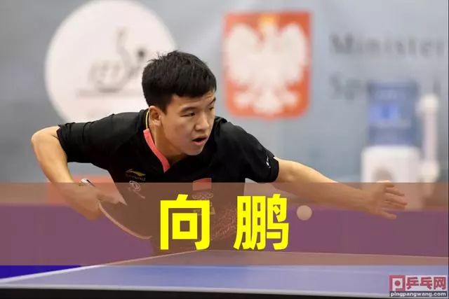 从选手的反 从选手的反