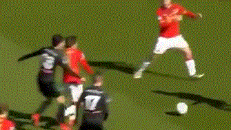 的身体素质 的身体素质