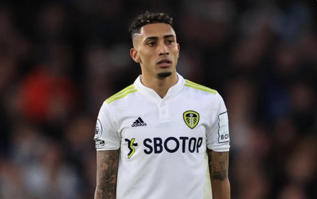 强队的信心 强队的信心