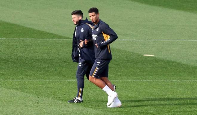 愧的明星球 愧的明星球